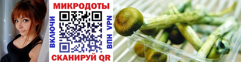 Псилоцибиновые грибы мицелий купить закладку Кировград