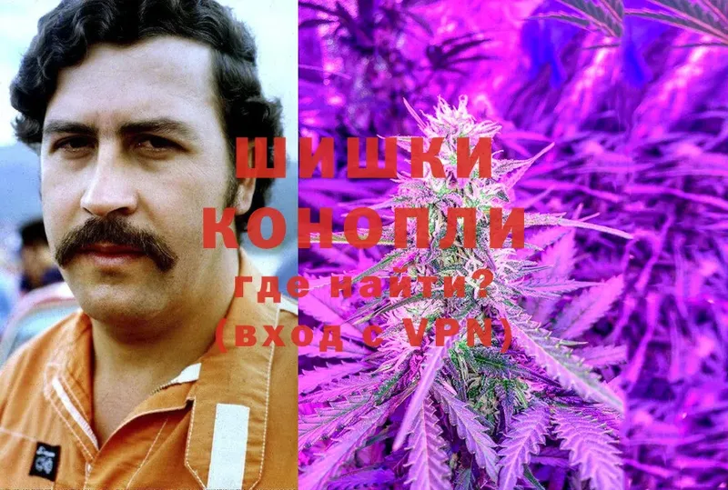 Конопля Bruce Banner  Кировград 